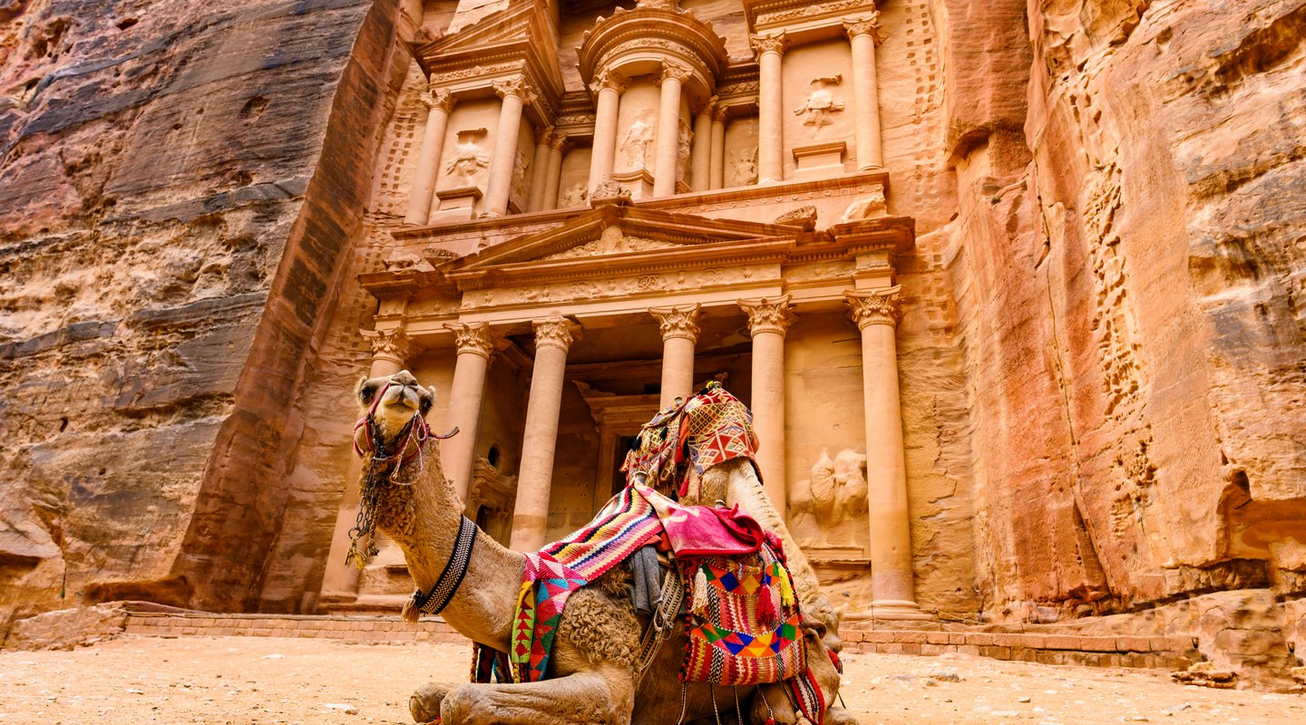 Imagem dois camelos na cidade histórica de Petra